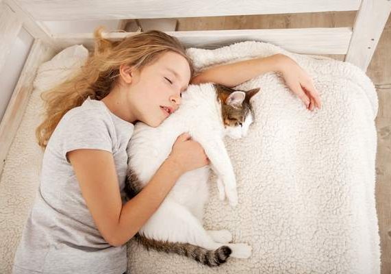 Gatti-bambini bambina dorme con gatto