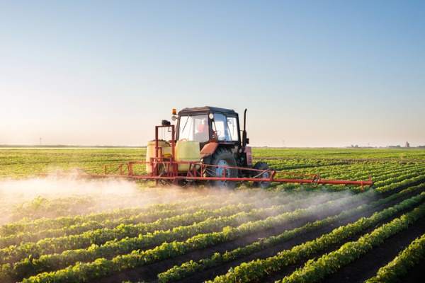 colture utilizzo pesticidi