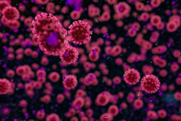 Coronavirus immunità di gregge