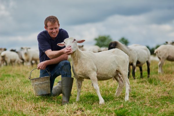 Un programma vaccinale efficace previene le malattie, riduce le perdite e garantisce il benessere animale.