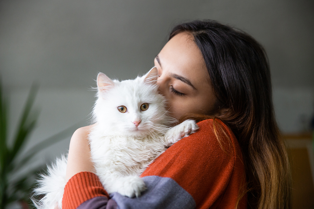 Dermatite nel gatto a pelo lungo: cause, perdita di pelo e rimedi naturali 31 Padrona che coccola affettuosamente il suo gatto dal pelo lungo e bianco nel salotto di casa