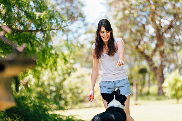 Giovane donna al parco insieme al suo cane, che impara come educarlo al gioco della palla tramite l’insegnamento di alcuni tricks