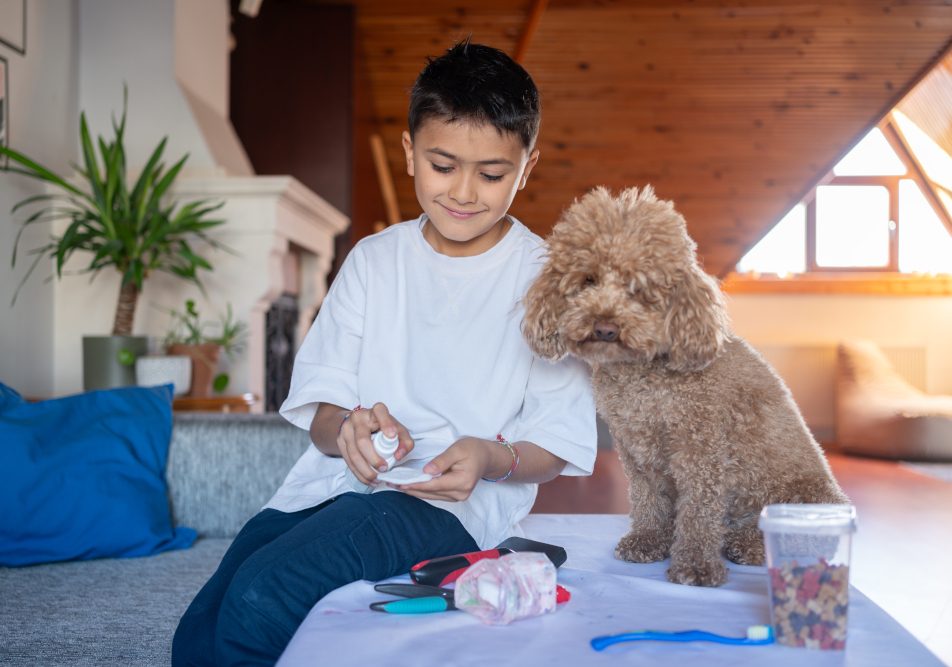 Bambino che medica il suo cane per la congiuntivite