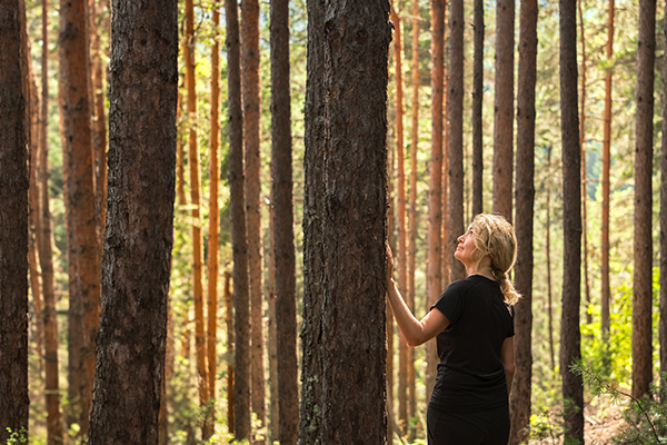 Donna adulta in una pineta soleggiata che si rilassa e ripristina la sua salute durante un’esperienza di forest bathing