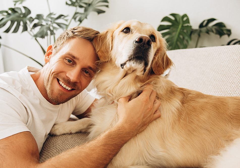 Padrone felice sul divano in compagnia del suo cane golden retriever guarito dalla dermatite interdigitale