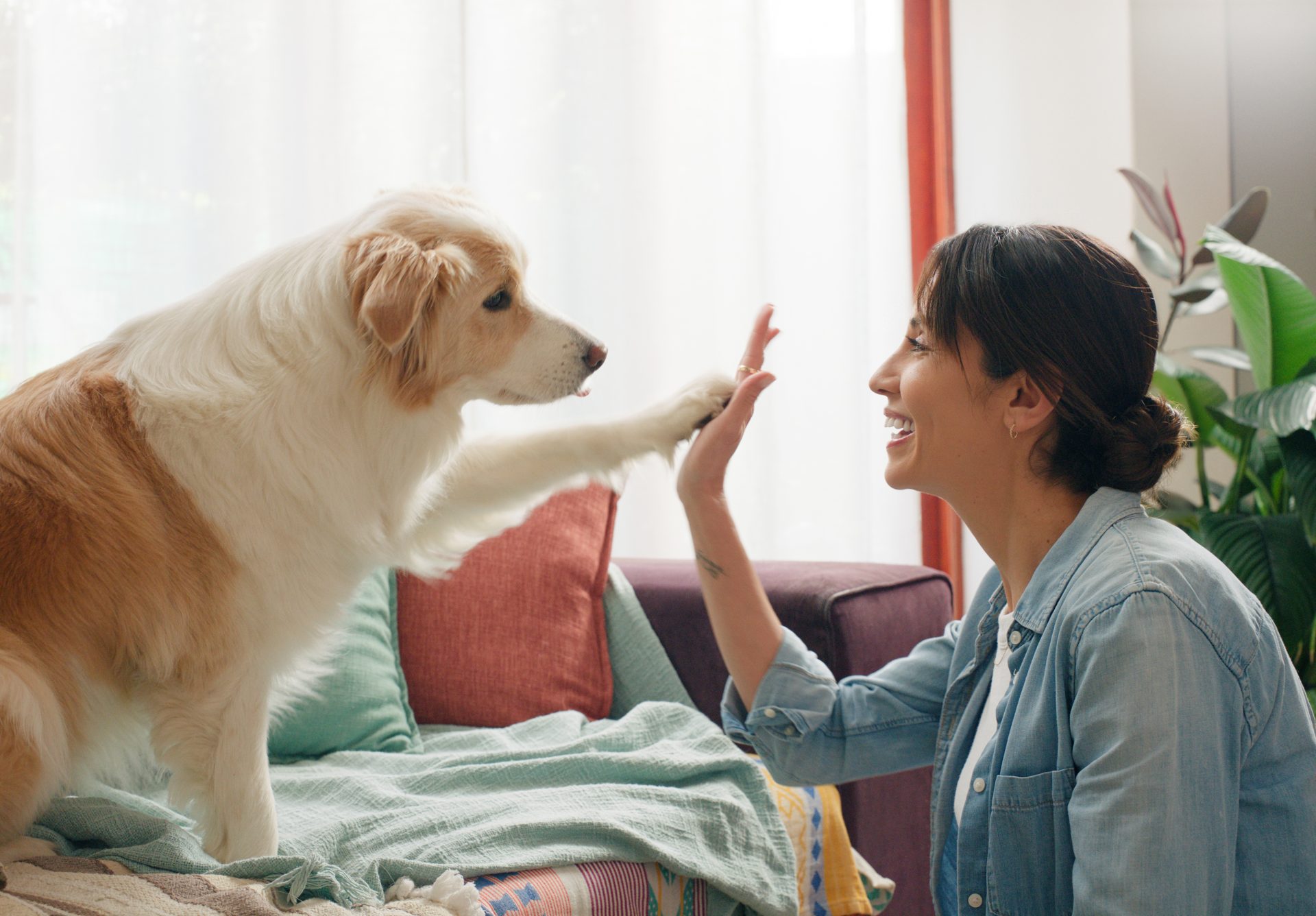 donna sorridente da il cinque al proprio cane