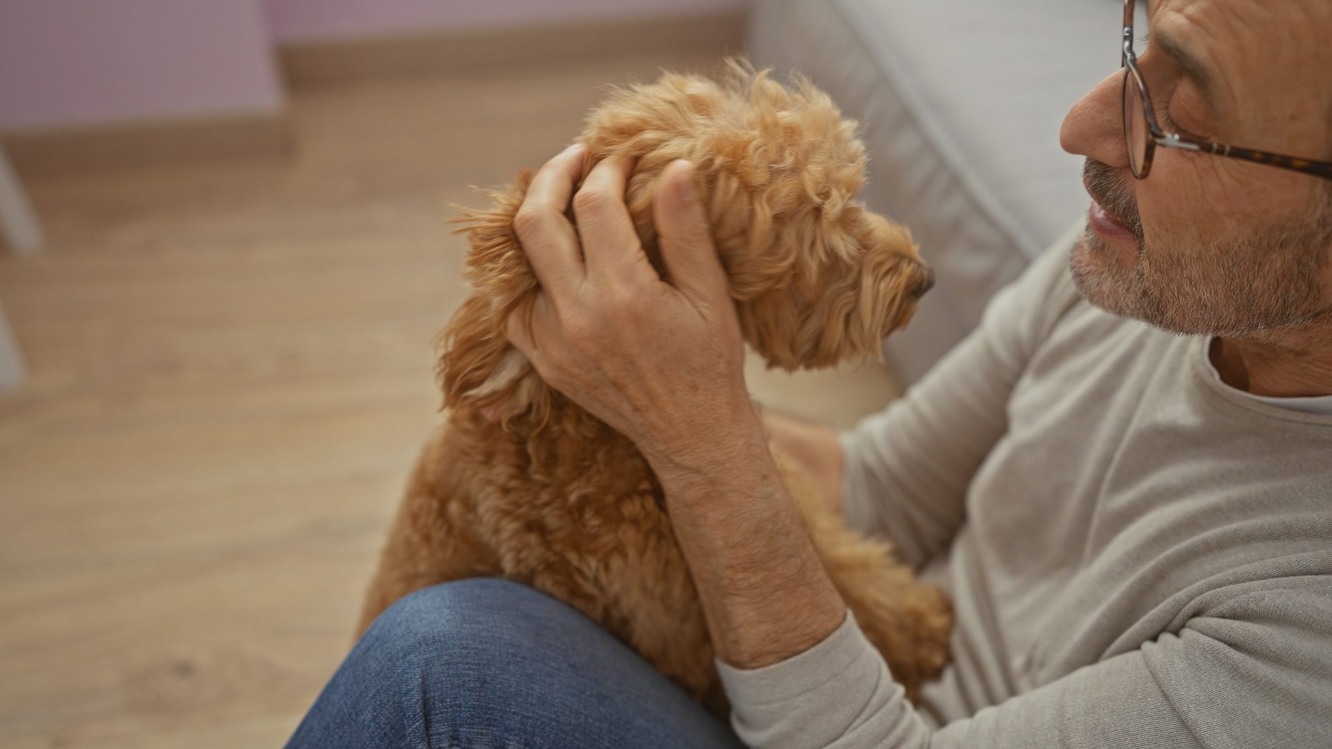 uomo accarezza cane spaventato