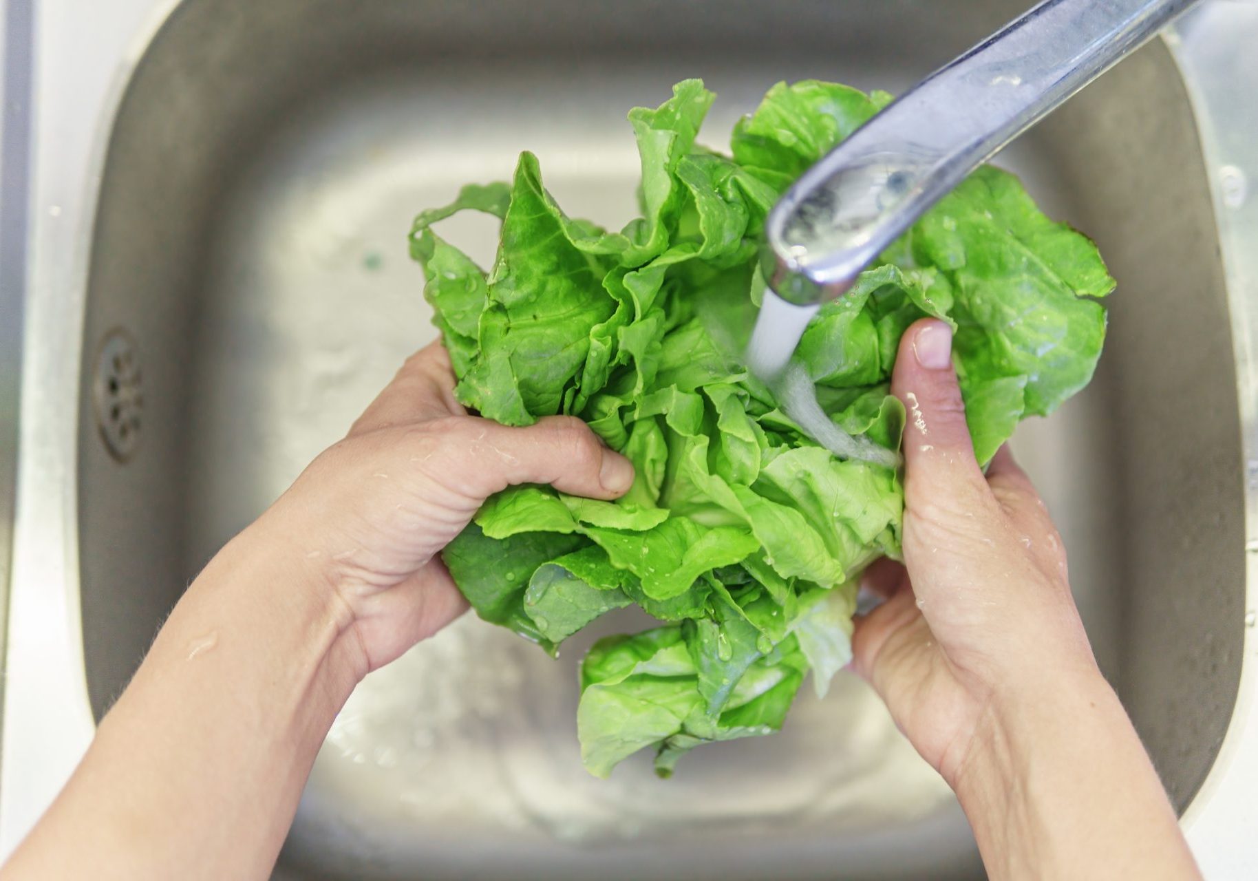 persona lava lattuga sotto getto d'acqua