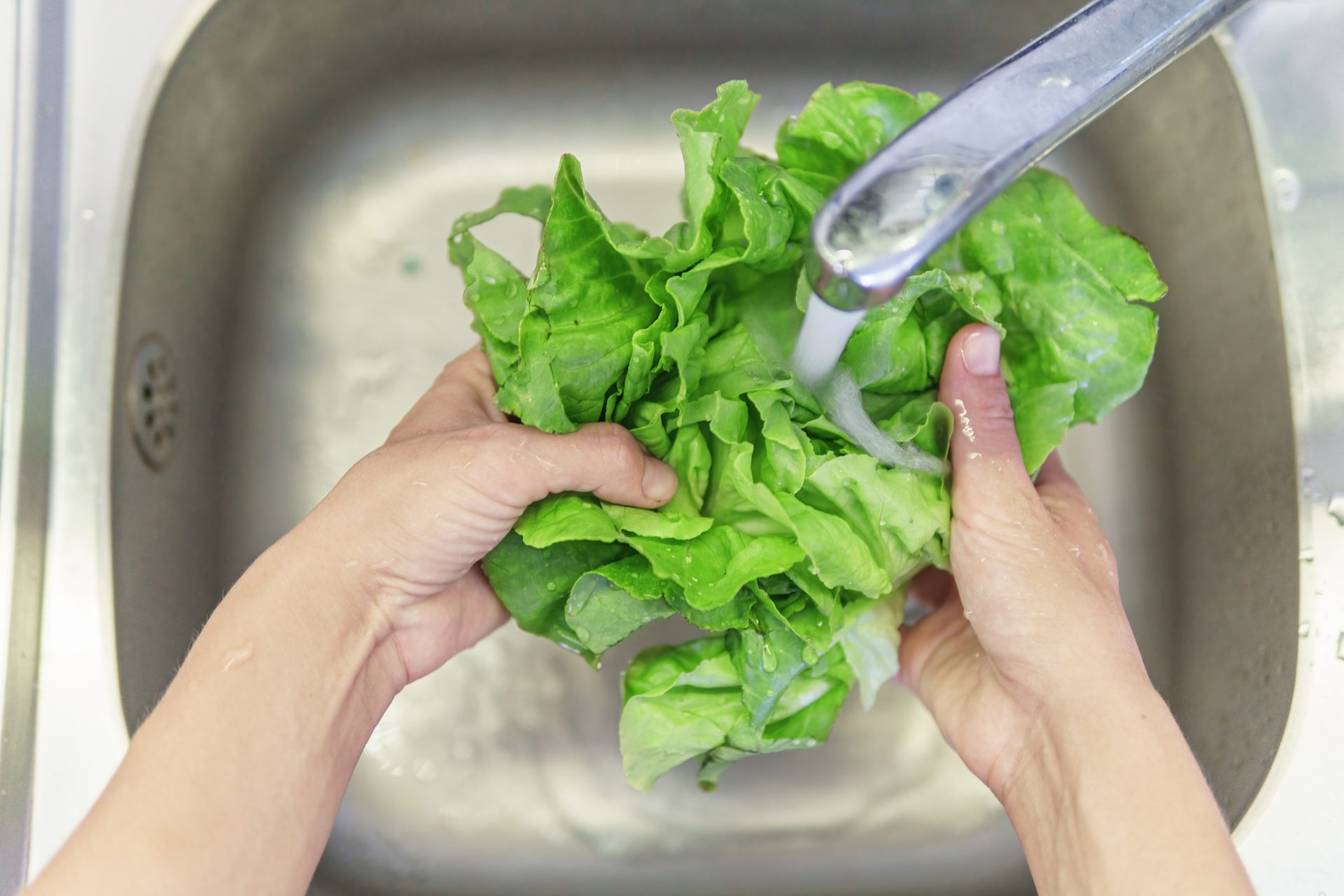 persona lava lattuga sotto getto d'acqua